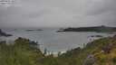 ./images/calvert/foggy-cove/20250626/foggy-cove20250626_103511M.jpg