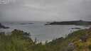 ./images/calvert/foggy-cove/20250626/foggy-cove20250626_104010M.jpg
