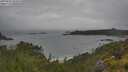 ./images/calvert/foggy-cove/20250626/foggy-cove20250626_104510M.jpg