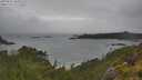 ./images/calvert/foggy-cove/20250626/foggy-cove20250626_105010M.jpg