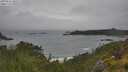 ./images/calvert/foggy-cove/20250626/foggy-cove20250626_105509M.jpg