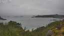 ./images/calvert/foggy-cove/20250626/foggy-cove20250626_110011M.jpg
