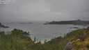./images/calvert/foggy-cove/20250626/foggy-cove20250626_110511M.jpg