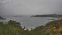 ./images/calvert/foggy-cove/20250626/foggy-cove20250626_111011M.jpg