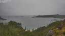 ./images/calvert/foggy-cove/20250626/foggy-cove20250626_111511M.jpg
