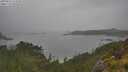 ./images/calvert/foggy-cove/20250626/foggy-cove20250626_113508M.jpg