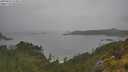 ./images/calvert/foggy-cove/20250626/foggy-cove20250626_114010M.jpg