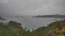 ./images/calvert/foggy-cove/20250626/foggy-cove20250626_115010M.jpg
