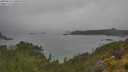 ./images/calvert/foggy-cove/20250626/foggy-cove20250626_120010M.jpg