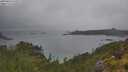 ./images/calvert/foggy-cove/20250626/foggy-cove20250626_120509M.jpg