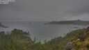 ./images/calvert/foggy-cove/20250626/foggy-cove20250626_121010M.jpg