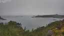 ./images/calvert/foggy-cove/20250626/foggy-cove20250626_122509M.jpg