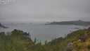 ./images/calvert/foggy-cove/20250626/foggy-cove20250626_123509M.jpg