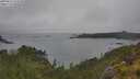 ./images/calvert/foggy-cove/20250626/foggy-cove20250626_124510M.jpg