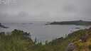 ./images/calvert/foggy-cove/20250626/foggy-cove20250626_125009M.jpg