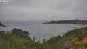 ./images/calvert/foggy-cove/20250626/foggy-cove20250626_125509M.jpg