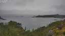 ./images/calvert/foggy-cove/20250626/foggy-cove20250626_130010M.jpg