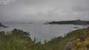 ./images/calvert/foggy-cove/20250626/foggy-cove20250626_131010M.jpg