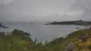 ./images/calvert/foggy-cove/20250626/foggy-cove20250626_131510M.jpg