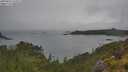 ./images/calvert/foggy-cove/20250626/foggy-cove20250626_132011M.jpg