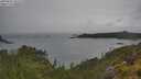 ./images/calvert/foggy-cove/20250626/foggy-cove20250626_132510M.jpg