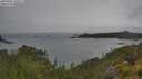 ./images/calvert/foggy-cove/20250626/foggy-cove20250626_133011M.jpg