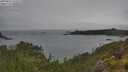 ./images/calvert/foggy-cove/20250626/foggy-cove20250626_133509M.jpg