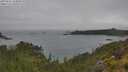 ./images/calvert/foggy-cove/20250626/foggy-cove20250626_134010M.jpg