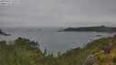 ./images/calvert/foggy-cove/20250626/foggy-cove20250626_134509M.jpg