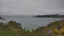 ./images/calvert/foggy-cove/20250626/foggy-cove20250626_135011M.jpg
