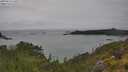 ./images/calvert/foggy-cove/20250626/foggy-cove20250626_140509M.jpg