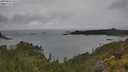 ./images/calvert/foggy-cove/20250626/foggy-cove20250626_141510M.jpg