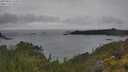 ./images/calvert/foggy-cove/20250626/foggy-cove20250626_142009M.jpg