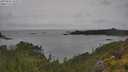 ./images/calvert/foggy-cove/20250626/foggy-cove20250626_143509M.jpg