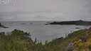 ./images/calvert/foggy-cove/20250626/foggy-cove20250626_144010M.jpg