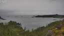 ./images/calvert/foggy-cove/20250626/foggy-cove20250626_145510M.jpg