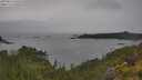 ./images/calvert/foggy-cove/20250626/foggy-cove20250626_150510M.jpg
