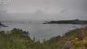 ./images/calvert/foggy-cove/20250626/foggy-cove20250626_152510M.jpg