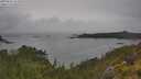 ./images/calvert/foggy-cove/20250626/foggy-cove20250626_153010M.jpg