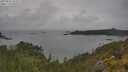 ./images/calvert/foggy-cove/20250626/foggy-cove20250626_153509M.jpg