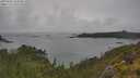 ./images/calvert/foggy-cove/20250626/foggy-cove20250626_154010M.jpg