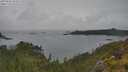 ./images/calvert/foggy-cove/20250626/foggy-cove20250626_154509M.jpg