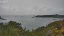 ./images/calvert/foggy-cove/20250626/foggy-cove20250626_155009M.jpg