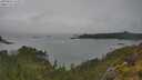 ./images/calvert/foggy-cove/20250626/foggy-cove20250626_155509M.jpg