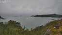 ./images/calvert/foggy-cove/20250626/foggy-cove20250626_162008M.jpg