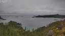 ./images/calvert/foggy-cove/20250626/foggy-cove20250626_164009M.jpg