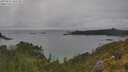 ./images/calvert/foggy-cove/20250626/foggy-cove20250626_165510M.jpg