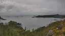 ./images/calvert/foggy-cove/20250626/foggy-cove20250626_172508M.jpg