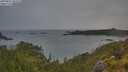 ./images/calvert/foggy-cove/20250627/foggy-cove20250627_060508M.jpg