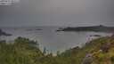 ./images/calvert/foggy-cove/20250627/foggy-cove20250627_063513M.jpg